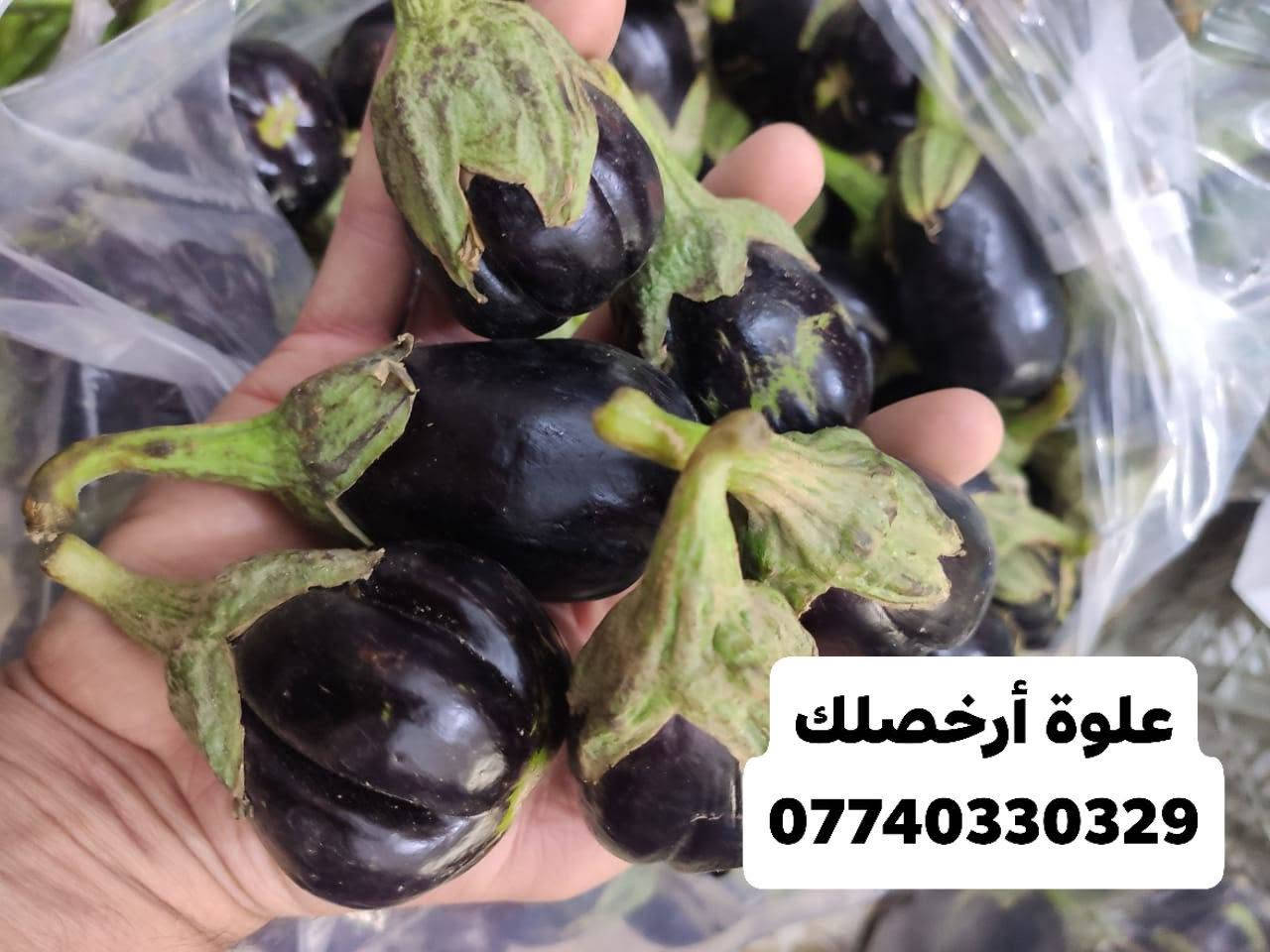 باذنجان مكدوس • خضرة متنوعة • توصيل الفلوجة