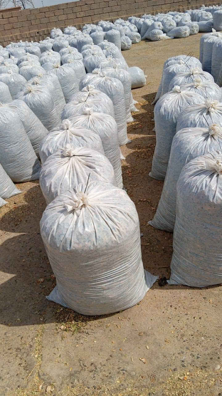 تم تجهيز طلبيات سيلاج الذرة عالي
الجودة للاخوانا في محافظاتنا العراقيه لهذا اليوم بتاريخ3/10/2026 🌾
​تعلن [مكتب وادارة ابو سجاد ] عن توفر سيلاج ذرة ممتاز بأعلى المواصفات والقيم الغذائية، بنسبة حبوب عالية  الجودة والنظافة لفترات طويلة. يساهم منتجنا بشكل مباشر في زيادة إنتاج الحليب واللحم مع توفير ممتاز في تكاليف الأعلاف. نوفر كميات جملة ومفرد بموازين دقيقة مع خدمة التوصيل والتحميل المباشر إلى جميع المحافظات  لجميع المزارعين ومربي الحلال.
📞 للحجز والاستفسار: ***********
***********
