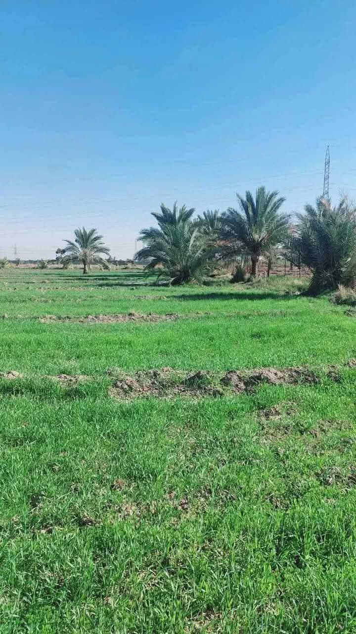 💎فرصه ذهبيه تكدر تمتلك دونم واحد تكدر تسويها مزرعه عائلتك 🌲🌿🌌 
🔹مساحه دونم 1البيع 
🔹 ماء 💧 
🔹 كهرباء ⚡ 
🔹 سند 25طابو فلوجة فتح بيان ثاني يوم 📝 
🔹 صاير مقابيل منطقة سبع البور 
🔹 تبعد عن بغداد 20دقيقه 🕝 
🔹 مركز صحي 
🔹 المدرسة الثانوية 
🔹 واجهه الدونم 55ونزال 45 📏
🔹 تبعد عن التبليط كيلو 
🔹ما تلكى بهيج السعر منطقه الشيخ عامر 💎 
🔹  ويا صاحب الكاع مباشر 
🔹 تكدر تستثمر فلوسك ويانا بدل ما تاخذ لك 100 متر 40 🔹مليون 💸 تعال خذ لك 2500 متر مربع بسعر مغري29مليون وبيه مجال 💸 قابل للتفاوض 
قريبه على سوك الشيخ عامر 💎 
🟥 ملاحظه يتوفر عندنا اراضي زراعيه للبيع سعر  6مليون فرصه تستثمر فلوسك ويانا بلا الاراضي الزراعيه قابله الصعود 💎 الاستفسار اتصل *********** 📱واتساب 
🔹ابو وضاح
