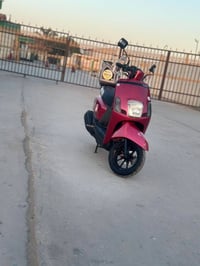 بوليس مسطرة • موديل ٢٠١٢ • أوراق