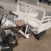 ستوته • بدون اوراق • نظيفه