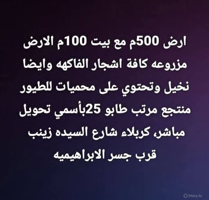 كربلاء • نص دونم • طابو 25