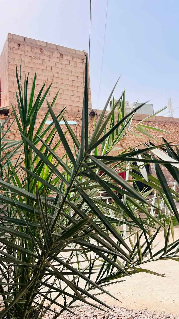 مشتمل للايجار سعر300 الف
غرفتين+صالة+مطبخ+حمام+حديقة 200 متر
جاهز من كلشي جيب غراضك واكعد
الموقع: الخمسة كيلو حي الزيتون
للاتصال: ***********
