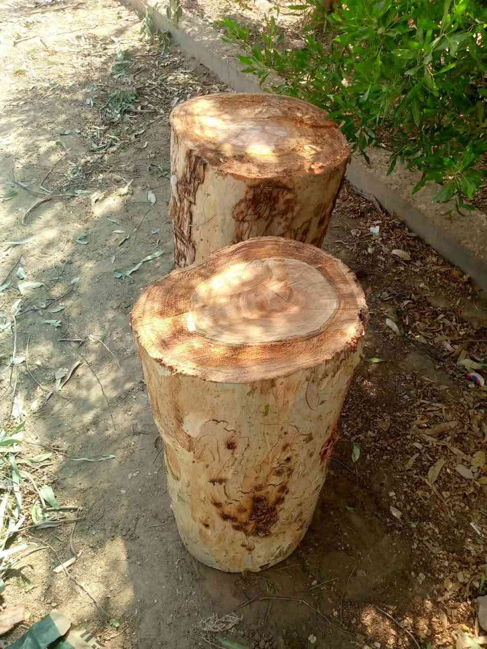 مكلف بنشر  

حطب للبيع  
#لتواصل 
***********
