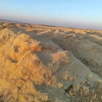 تبن • اكوام • العباس