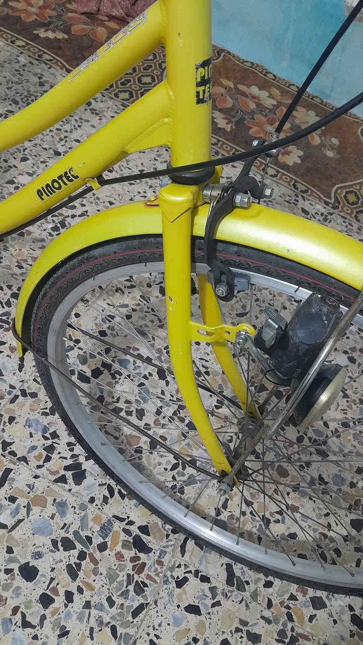 كربلاء • باسكل • ٢٦