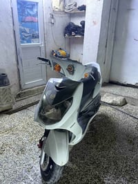 سكنس فحل • ياباني • مكفولة
