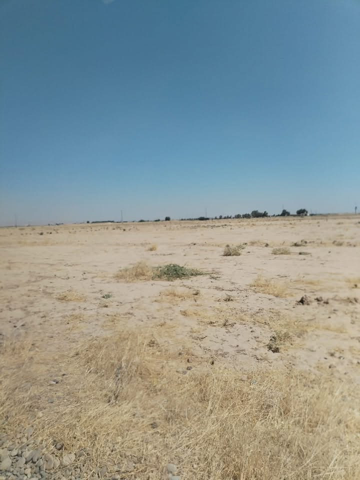 حليحل • ١٨ دونم • خدمات كاملة