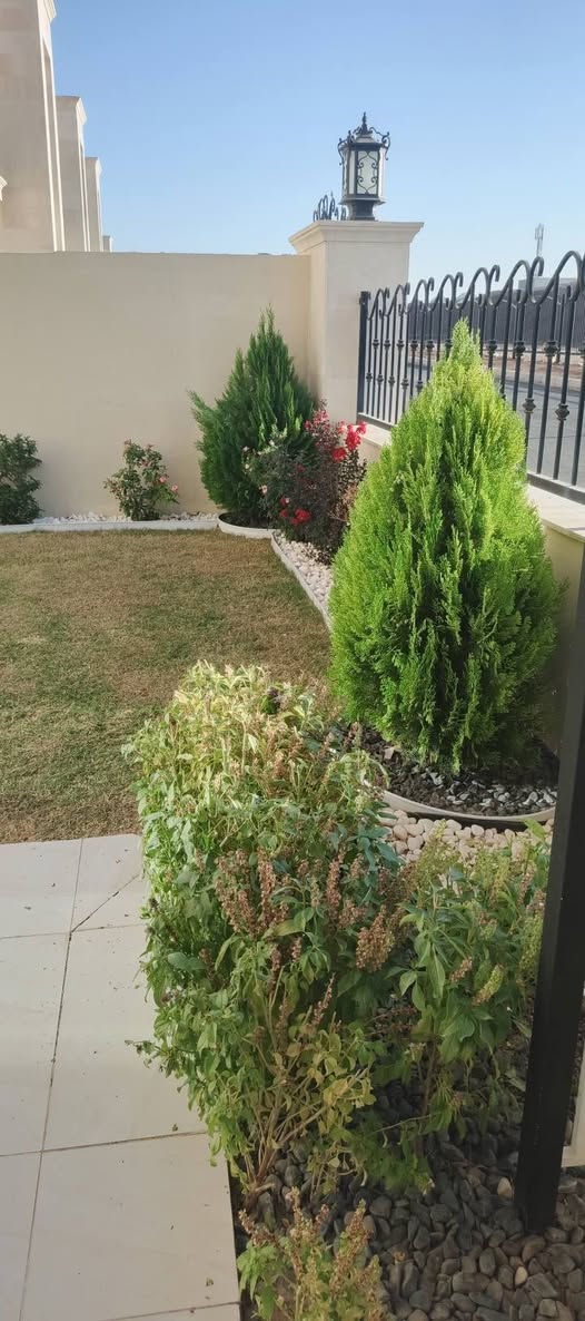 تنسيق حدائق • تنظيف يومي • رش مبيدات