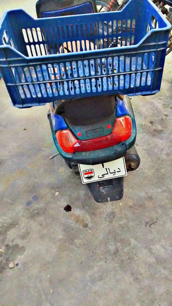 فراشة • نضيفة • المقدادية