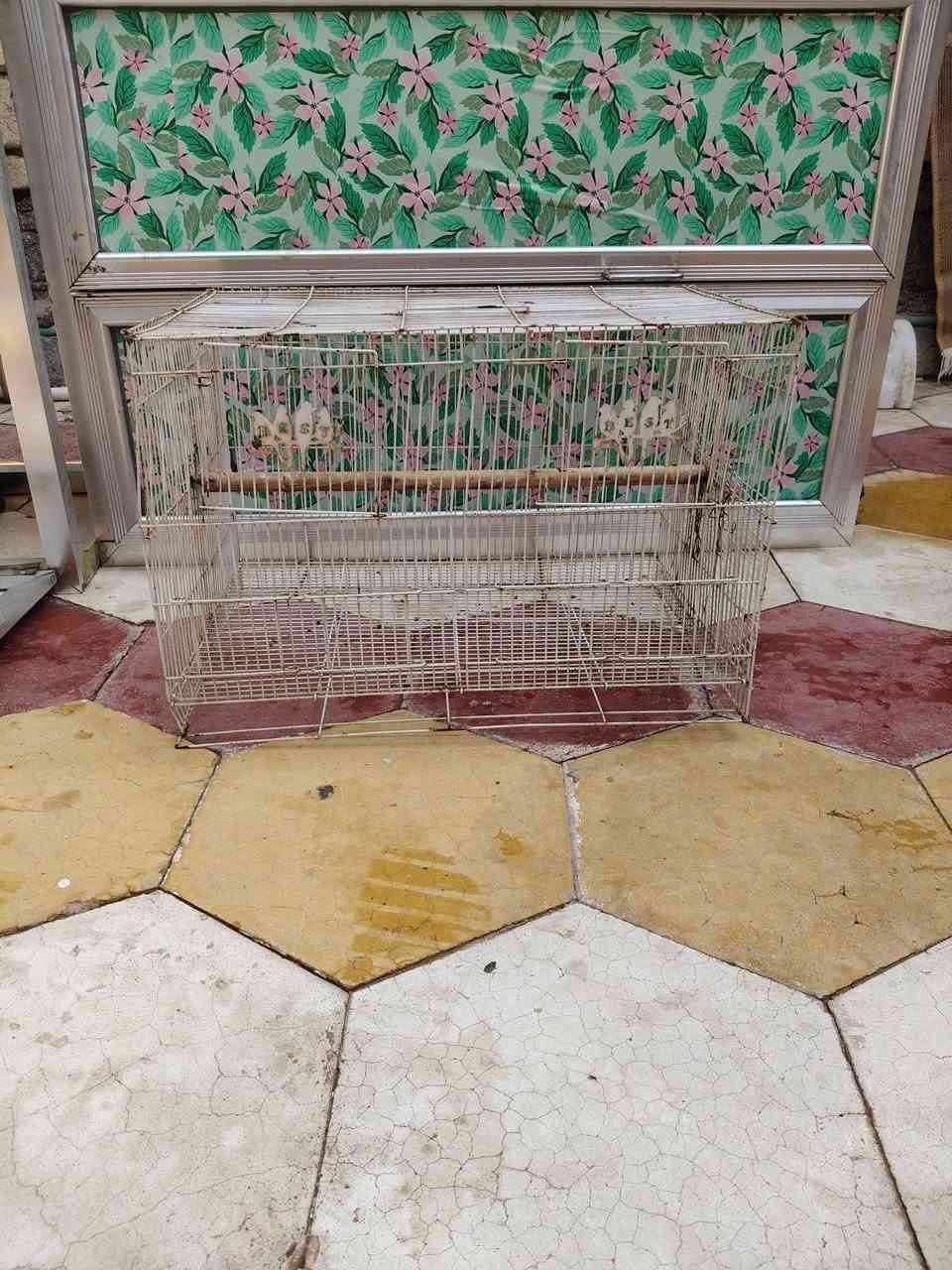 ٣ اقفاص • أكبر حجم • دوانية مركز
