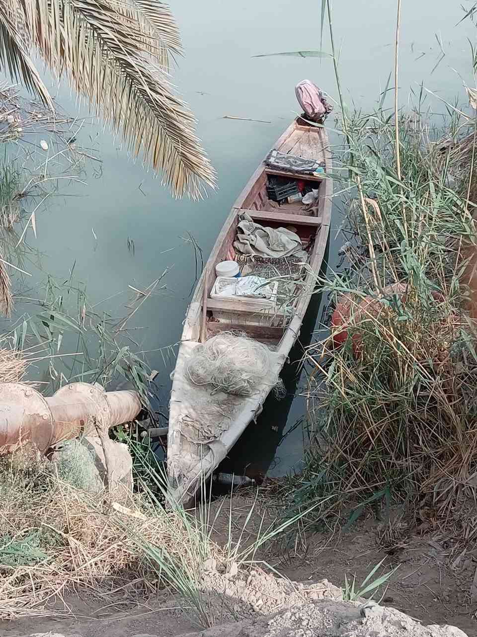 بلم • ١٥م • السماوة