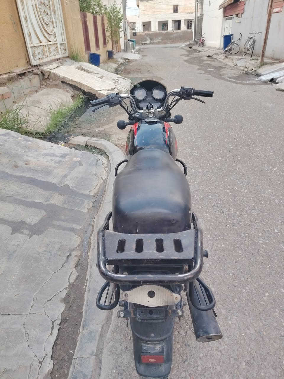 بوكسر جبلي • ١٩ • بدون اوراق