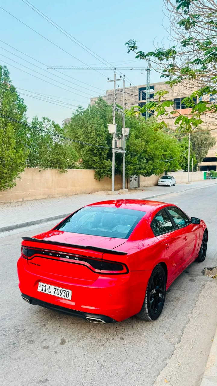 جارجر SXT. 2019
مكينه 3600 تو ويل

سعر 159
حادثه فقط جاملغ ب امريكا
بل عراق بيه مكانت صبغ ابيع حزام
صور حادثه بل منشور كلش بسيط

موصفات 
1-شاشه كبيره
2-تحكمات ستيرن
3-رادارات جانبيه
4-خزن ميموري 
5-ستيرن كهرباء
6-كشنات كهرباء 
7-كشنات جلد +تدفى تبريد 
8-لايت زينون
9-كير مكينه كله جاهز
10-تبريد ثلج ❄️ 
11-حداديه جديده
12-اكسل جديد
13-رقم بغداد نكليزي
هزه وسنويه ورقام جدد

مكاني كربلاء 
رقمي ***********

( فقط بيع بدون مراوس وشراي يتصل على رقم)
