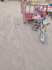 ديوان • ستوته • ٢٠١٦