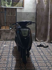 بريز فحل • كامكو بوليسي • اصفر