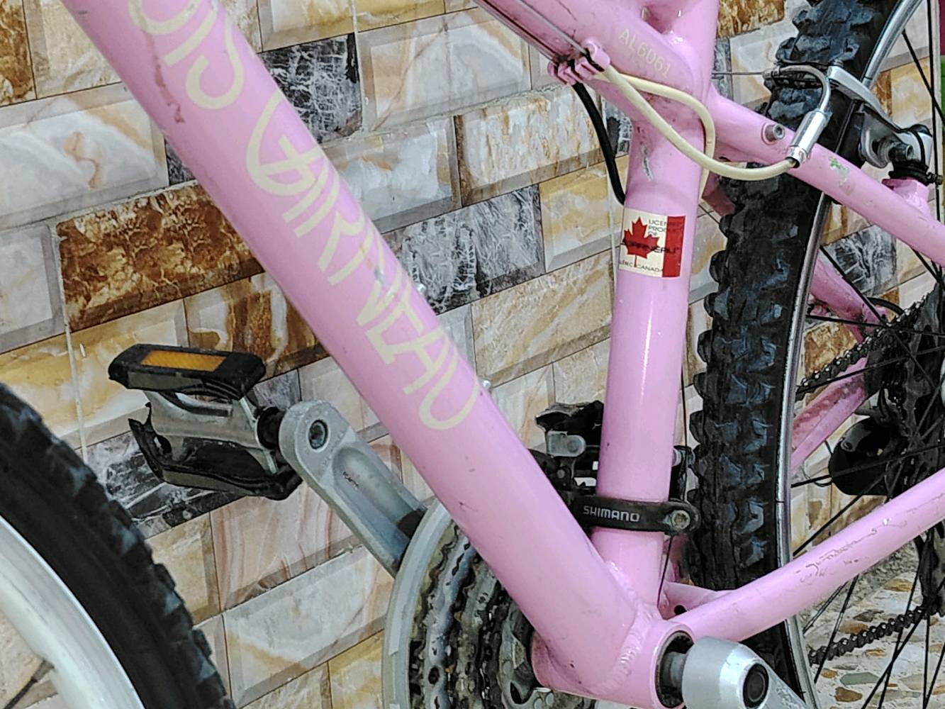 🚴‍♂️ بايسكل لويس غارنو كندي أصلي للبيع 🇨🇦الحجم: 26اللون: وردي مميز جـداً 🩷🤍الحالة: بلادي 100%، شكن وعكرب ونقال وبريكات شغالين، كل نقص ما بي.💵 السعر: 110 ألف (بي مجال خير من الله  للشراي ، بدون كسر بالسعر رحمة لوالديكم).📍 العنوان: بغداد - البلديات - شارع المصرف.📞 واتساب: ***********