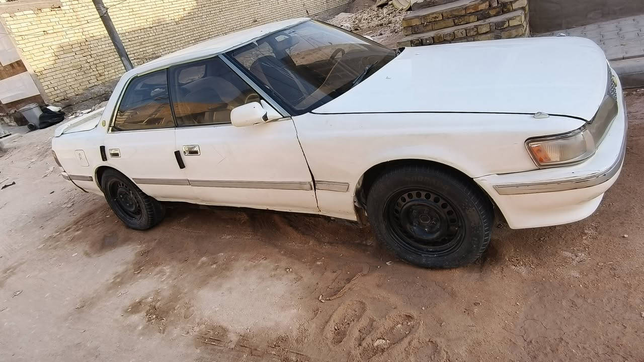 شيزر • ١٩٩١ • مكفولة