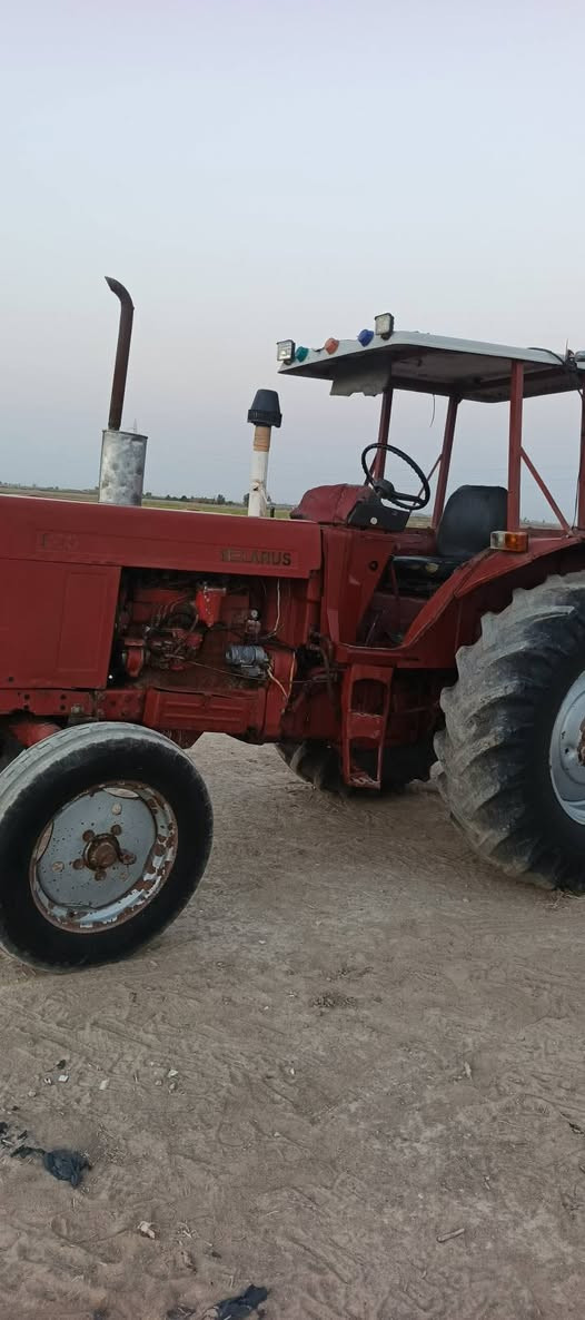 سلام عليكم بلاروس البيع أصولي رقم ميسان مكاني واسط قضاء الحي التواصل هذه رقمي ***********   0774673255
