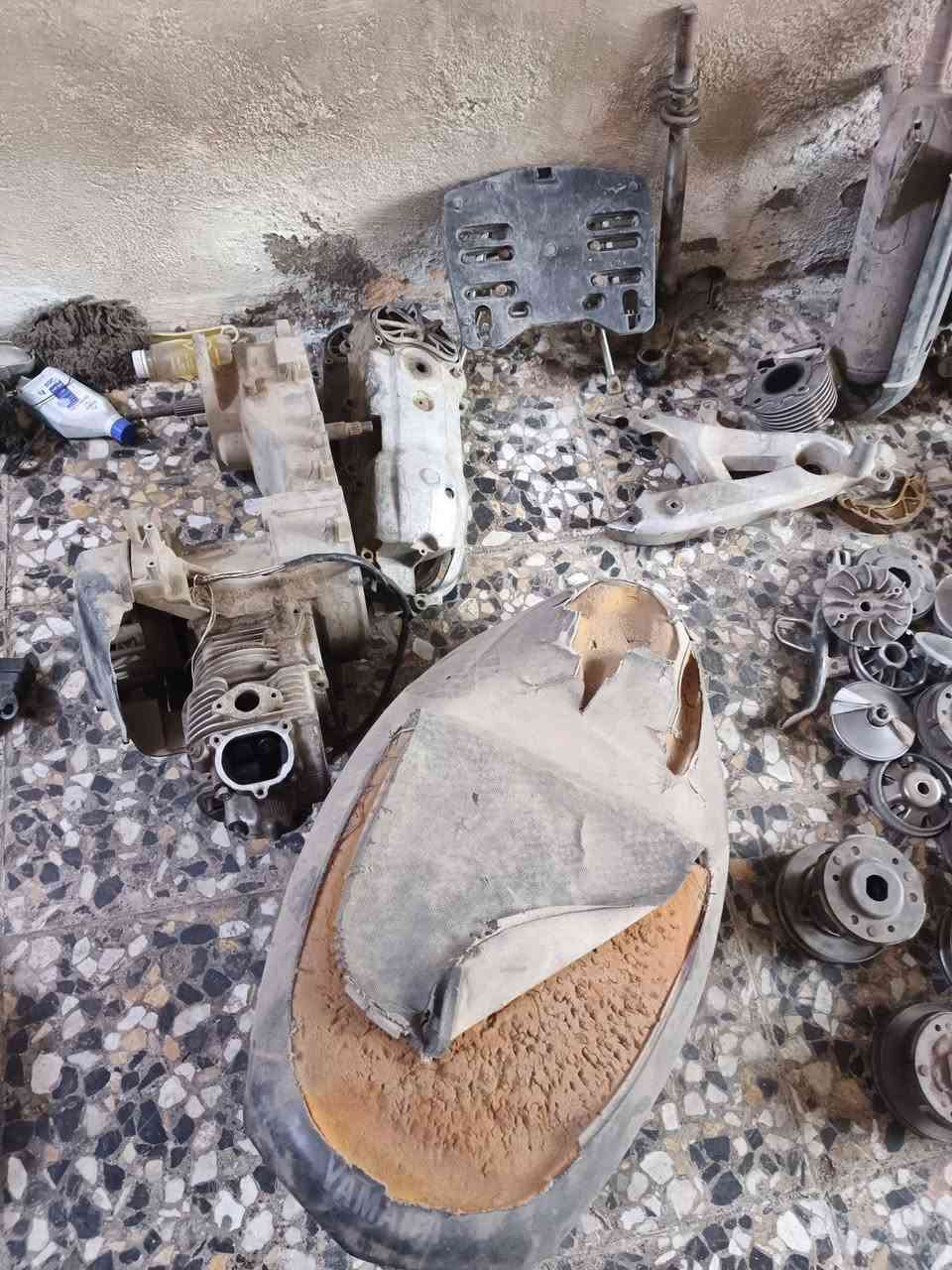 تفصيخ سكنز فحل ونثيه بغداد مدينة الصدر وهذا رقمي ***********
