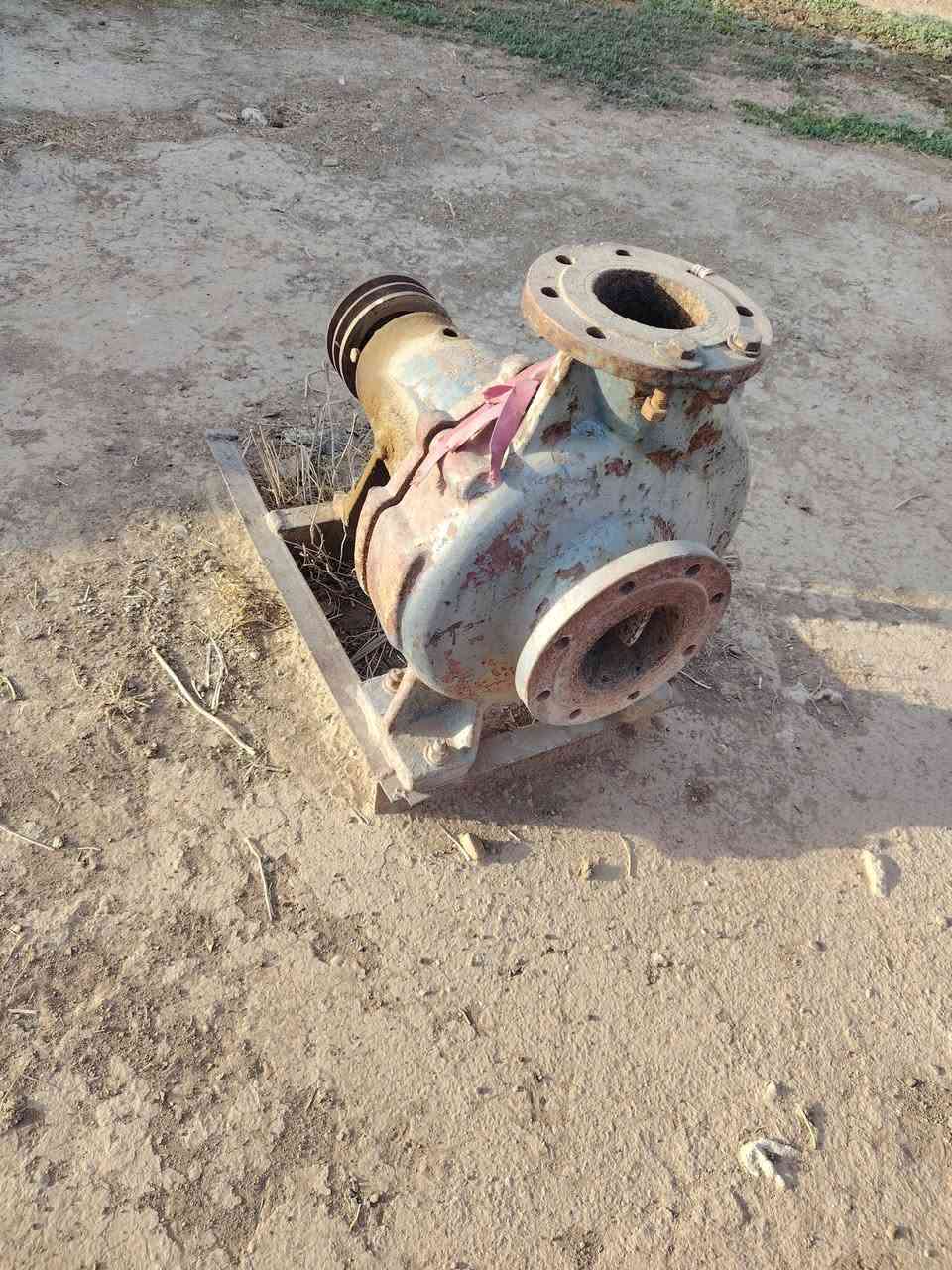 خنزيره تركيا للبيع ٤٠٠ وبيها مجال اتصال ع *********** مكان كركوك
