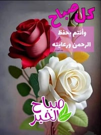 الجربوعيه • حي الحسين • مشاركة