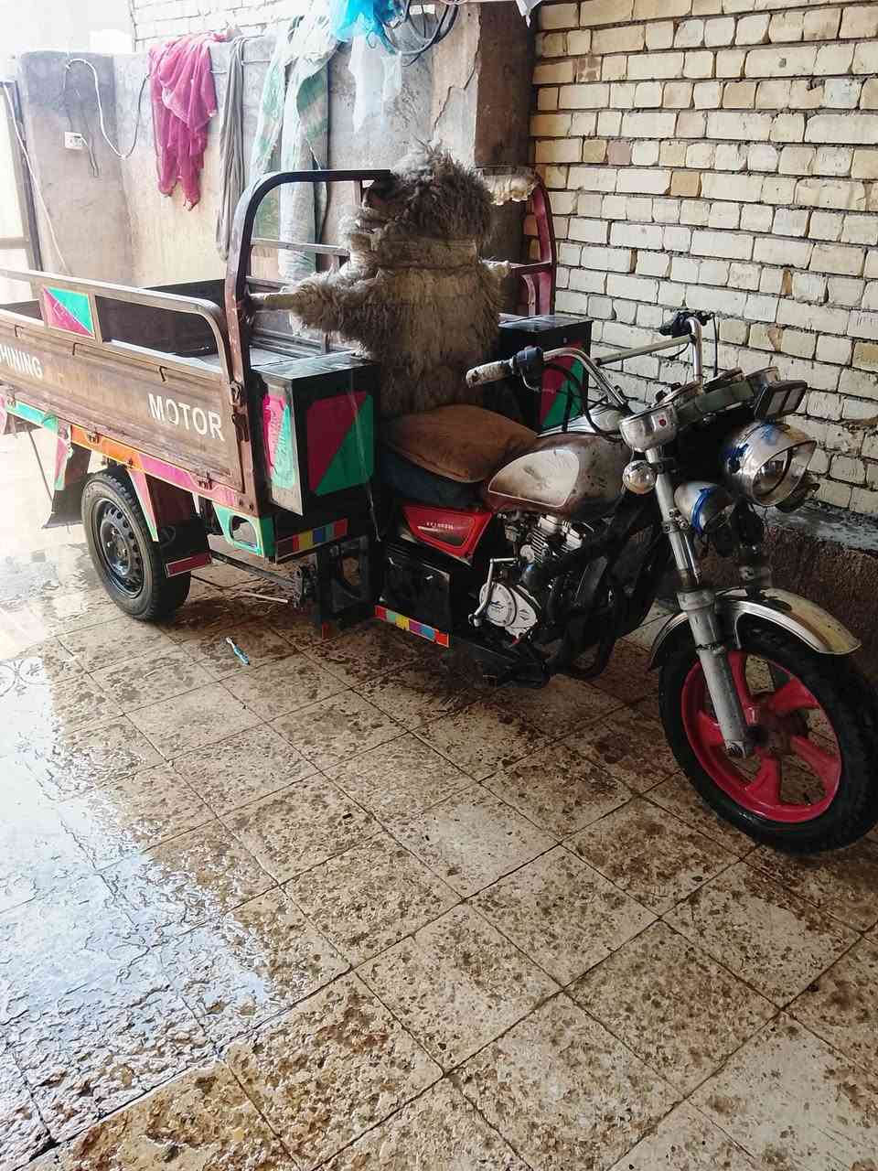 السلام عليكم ستوته جمره للبيع موديل ١٤ محرك ٢٥ نضيف اوراق اصليه كهربائيات كامله سلف هندر تخم تاير سايبه جديد ستوته جاهزه لشغل مكاني حصوه الاسكندريه ***********
