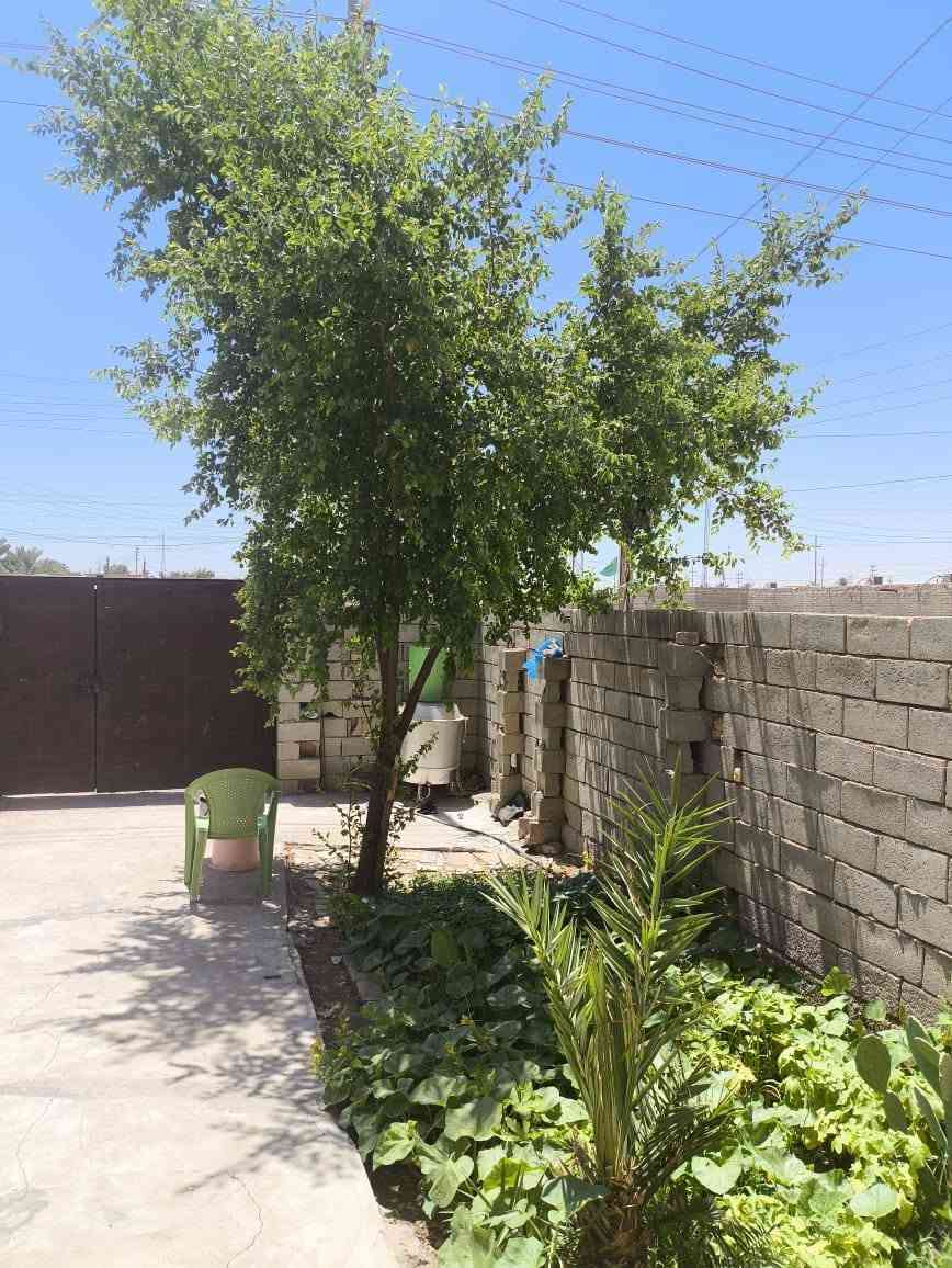 بيت زراعي للبيع مساحه 230 ع شارع العام طريق الزوار يبعد عن شارع ٤٠ متر بدايه فضليه شارع ماله عرضه 10 مجاري خدمات كامله بناء طابوك كامل وجاهز للعلم منطقه كلش حلوه سعر 48
وبي مجال ***********
