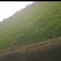 ٥دونم • زراعي • الفلوجه الصقلاوية