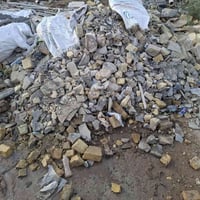 گرده • مجانا • قرب المحكمه