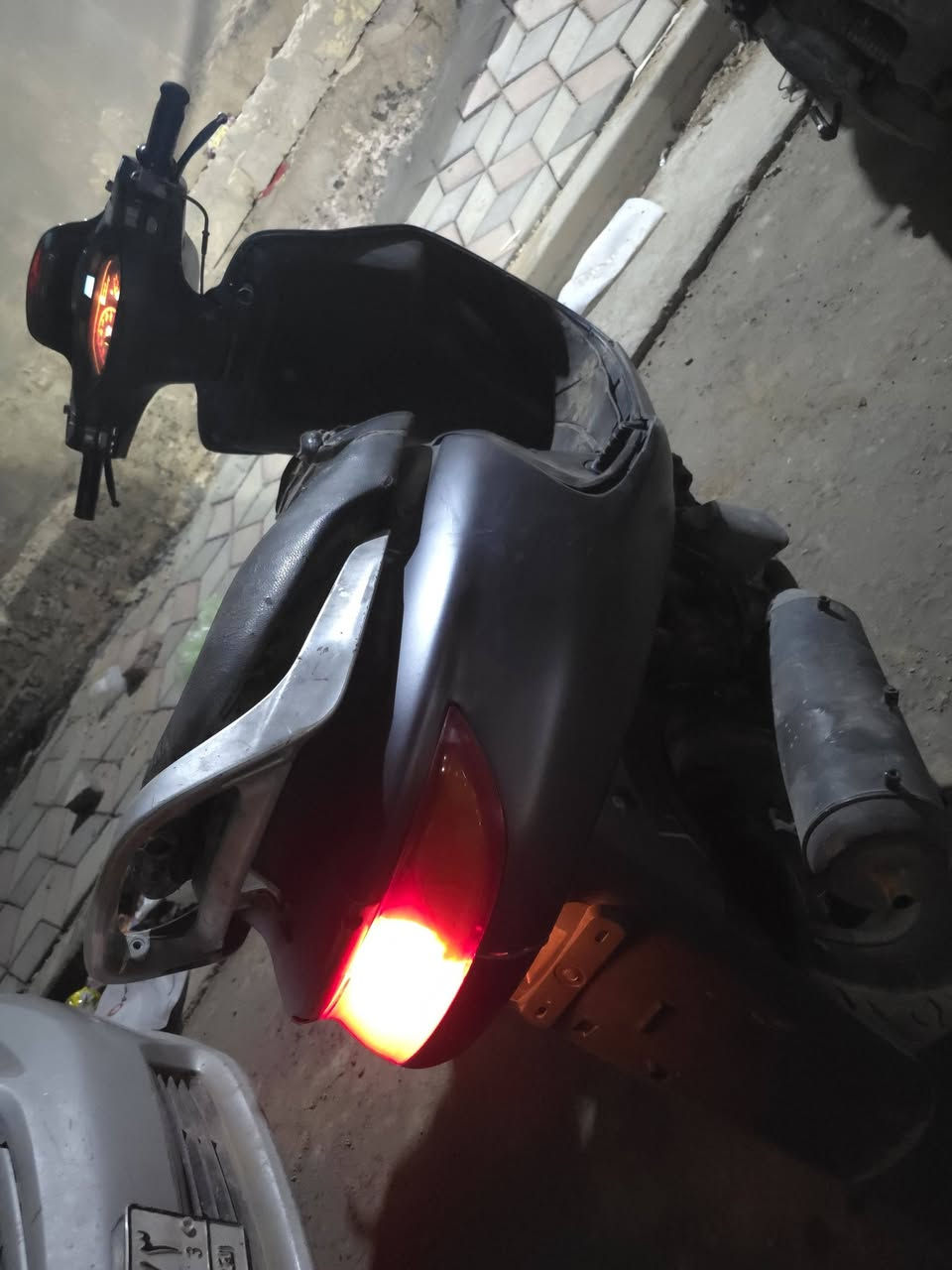 فراشه • فيلي فحل • سلف