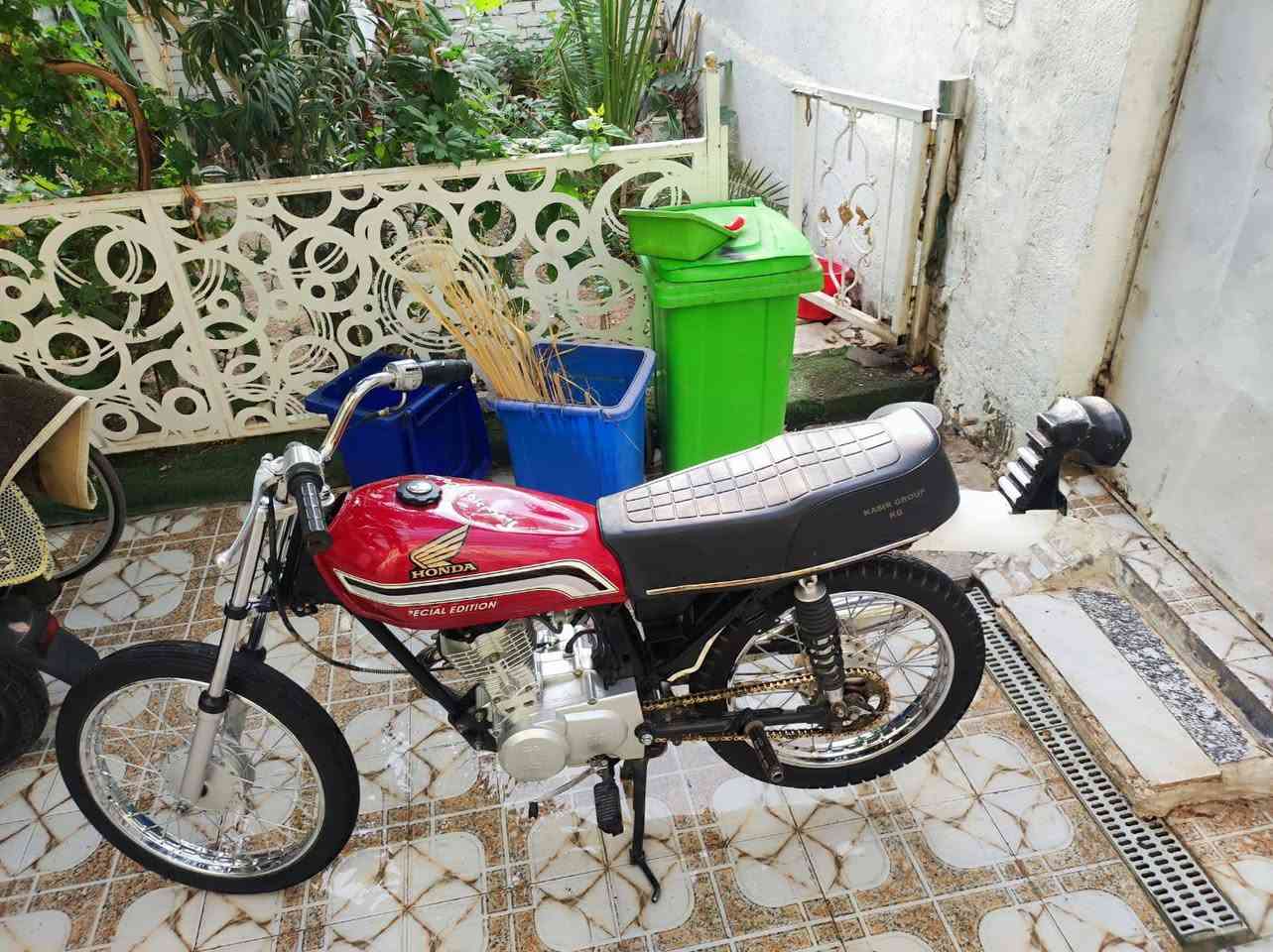 سكنره • ٢٧ وراق • كارتون