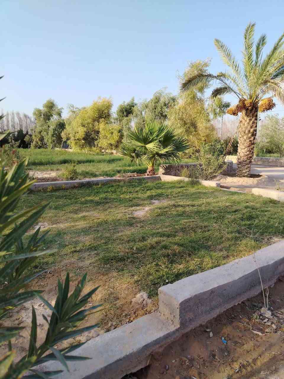 مزرعه • ٢ دونم • قرب مستشفى الامل