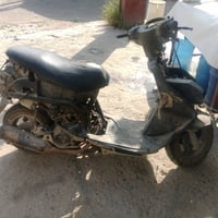 فراشه • شغاله • شارع 40