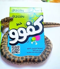 خط زين • نت مفتوح • سوق الشيوخ
