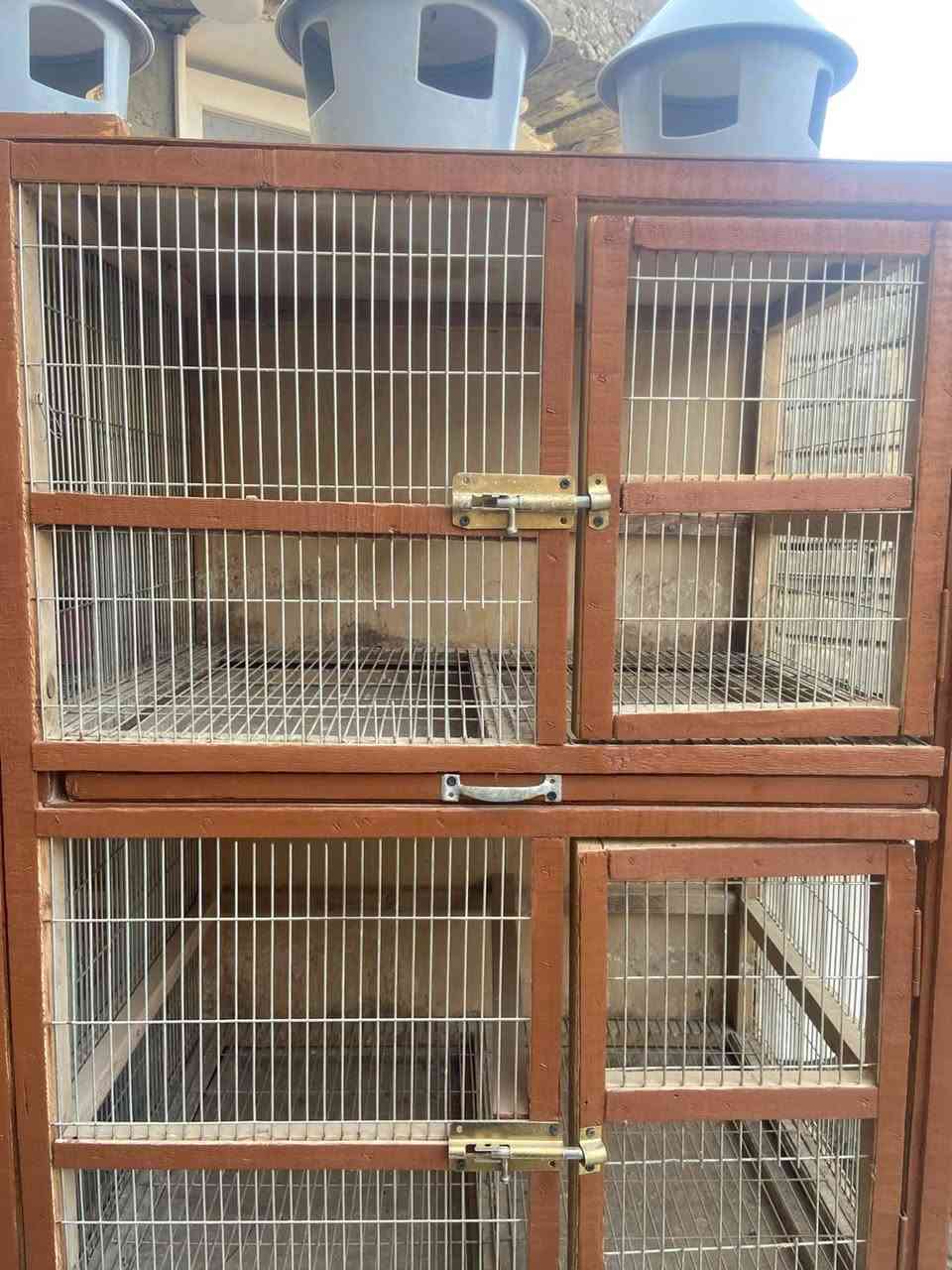 خانات طيور • ٨٠×٦٠×٦٠ • بغداد المعامل