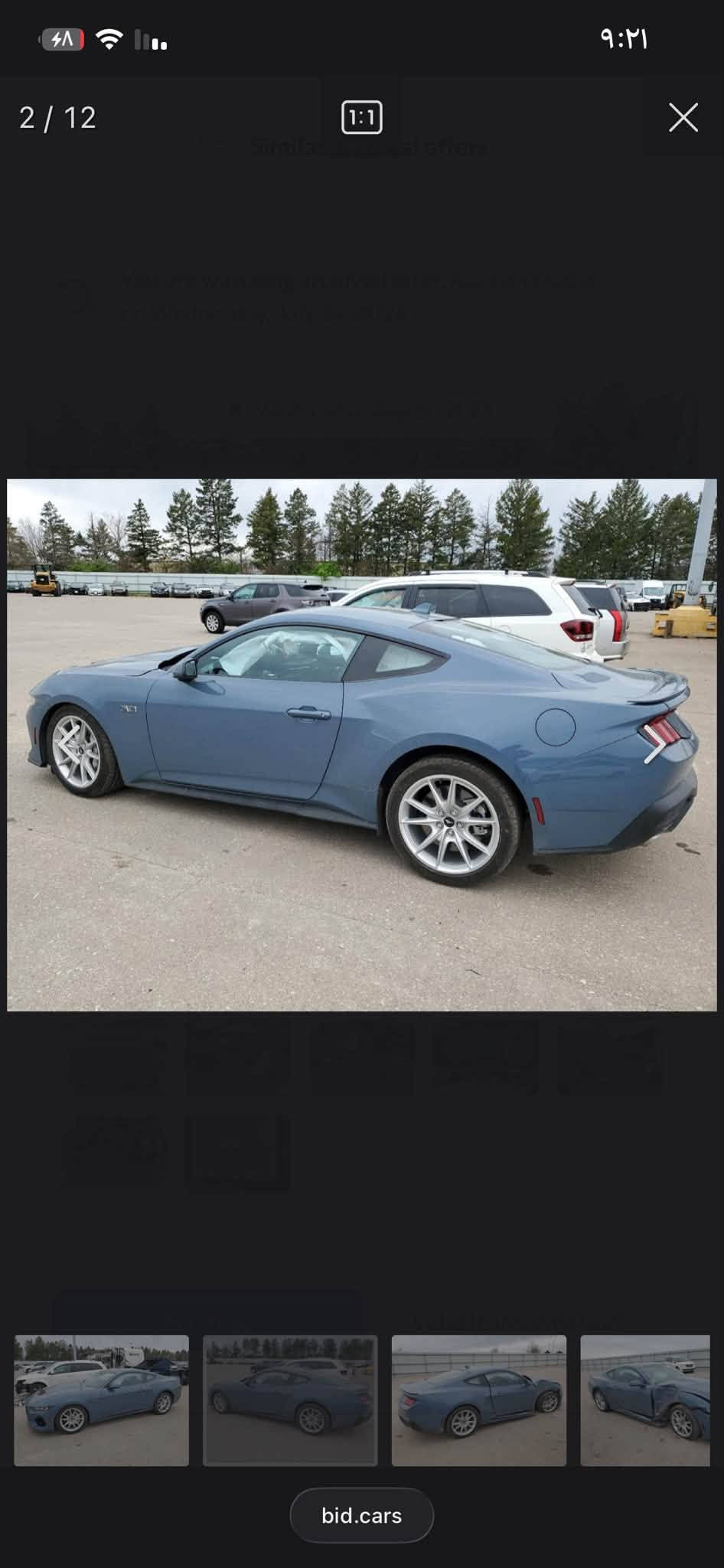 موستانك GT 5.0 • ٢٠٢٤ • حادث جانبي