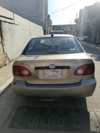 كورلا نحله • ٢٠٠٧ • فلوجه