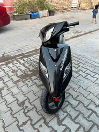 درجه ثعلب البيع بغداد الشعله سعره خاص هذه الرقم 07739219160