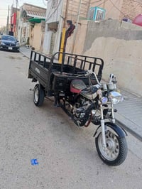 ستوته • موديل 19 • كفالة عامه