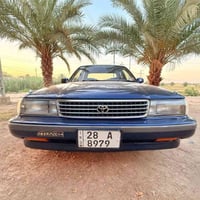 صبغ درجه اولى • بدون تبديل • بابل القاسم