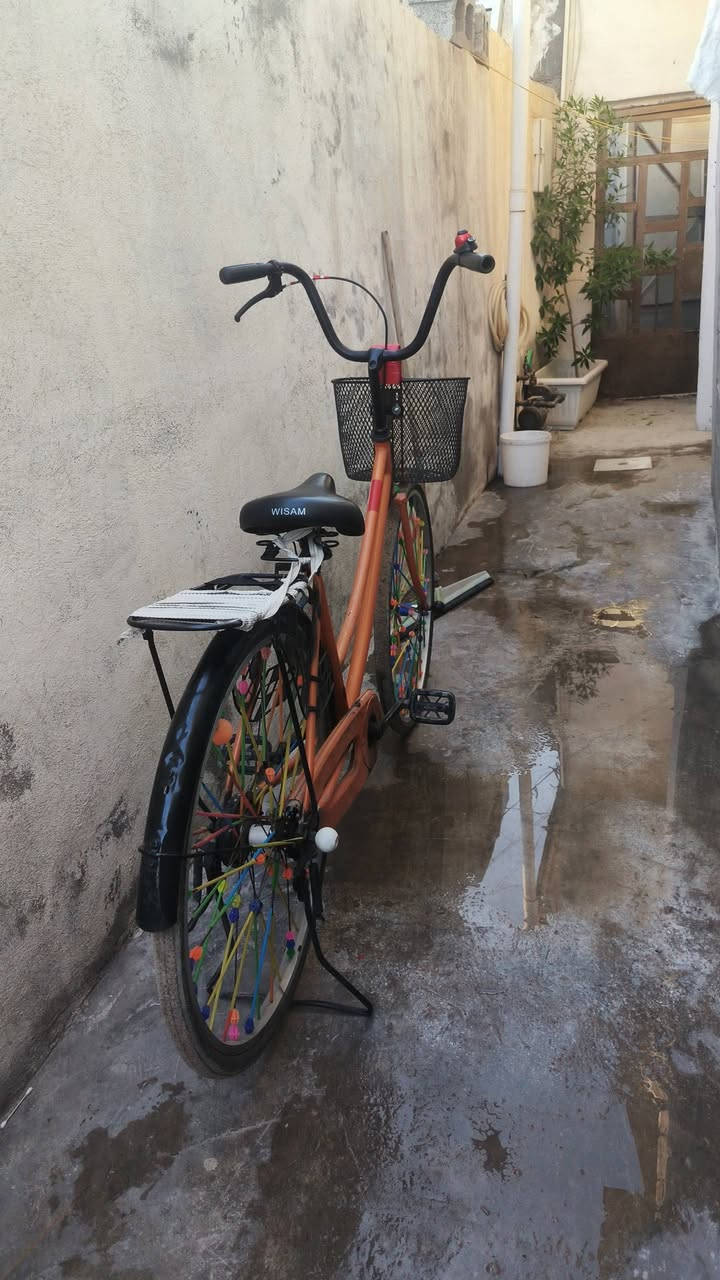 سلام عليكم بايسكل اسلامي 🌤
لون البايسكل برتقالي 🍊
معا جاملغات ثنين 2 🛠
بايسكل نظافته 90 /100🔕
مثل مشوفون الجمبزه مالته 🔕
اب سعر 100 او بي مجال على ال 85🔕 
رقم الهاتف 📞📲 ***********بي واتساب 📞
