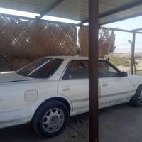 مارك كصيف • الزبير • سنوية ٢٠٢٩