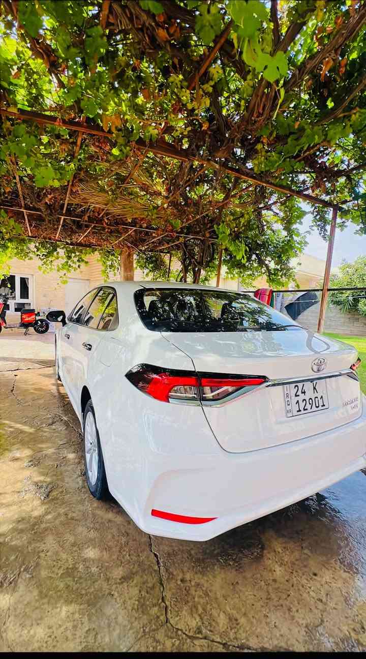 كورلا صيني • ٢٠٢٢ • رقم دهوك