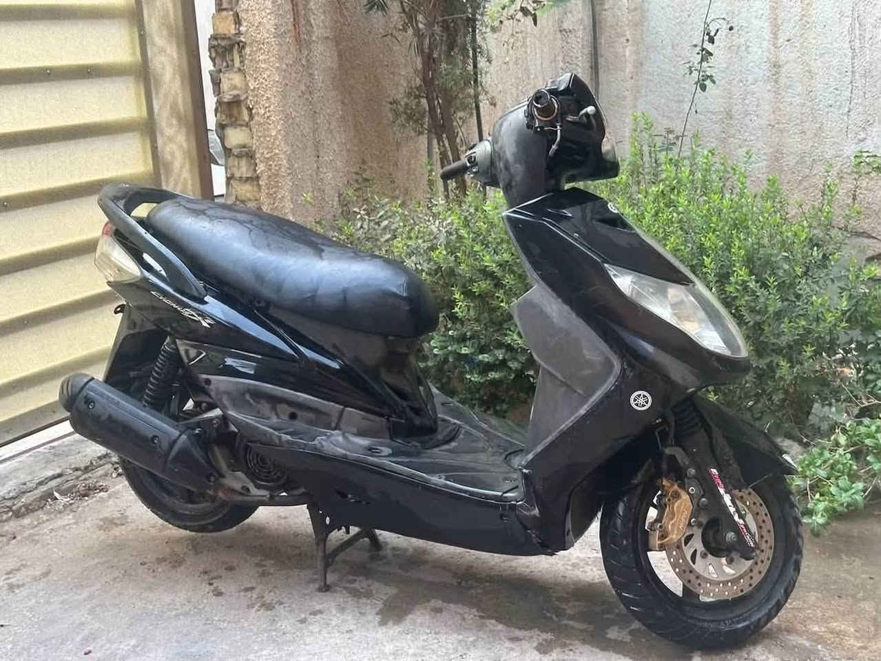 سكنس فحل • كابريتر • مكفوله