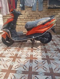 دراجه • سعر خاص • الحله القاسم