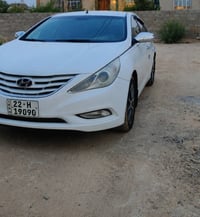 سوناته ٢٠١٠ • رقم اربيل • وارد خليجي