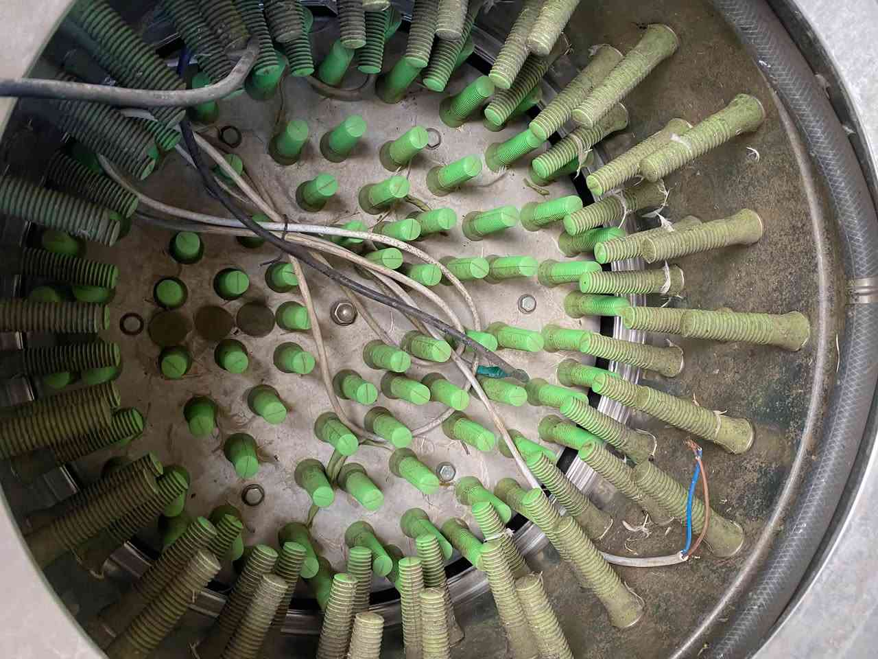 دجاج • جديدة • مع قفص