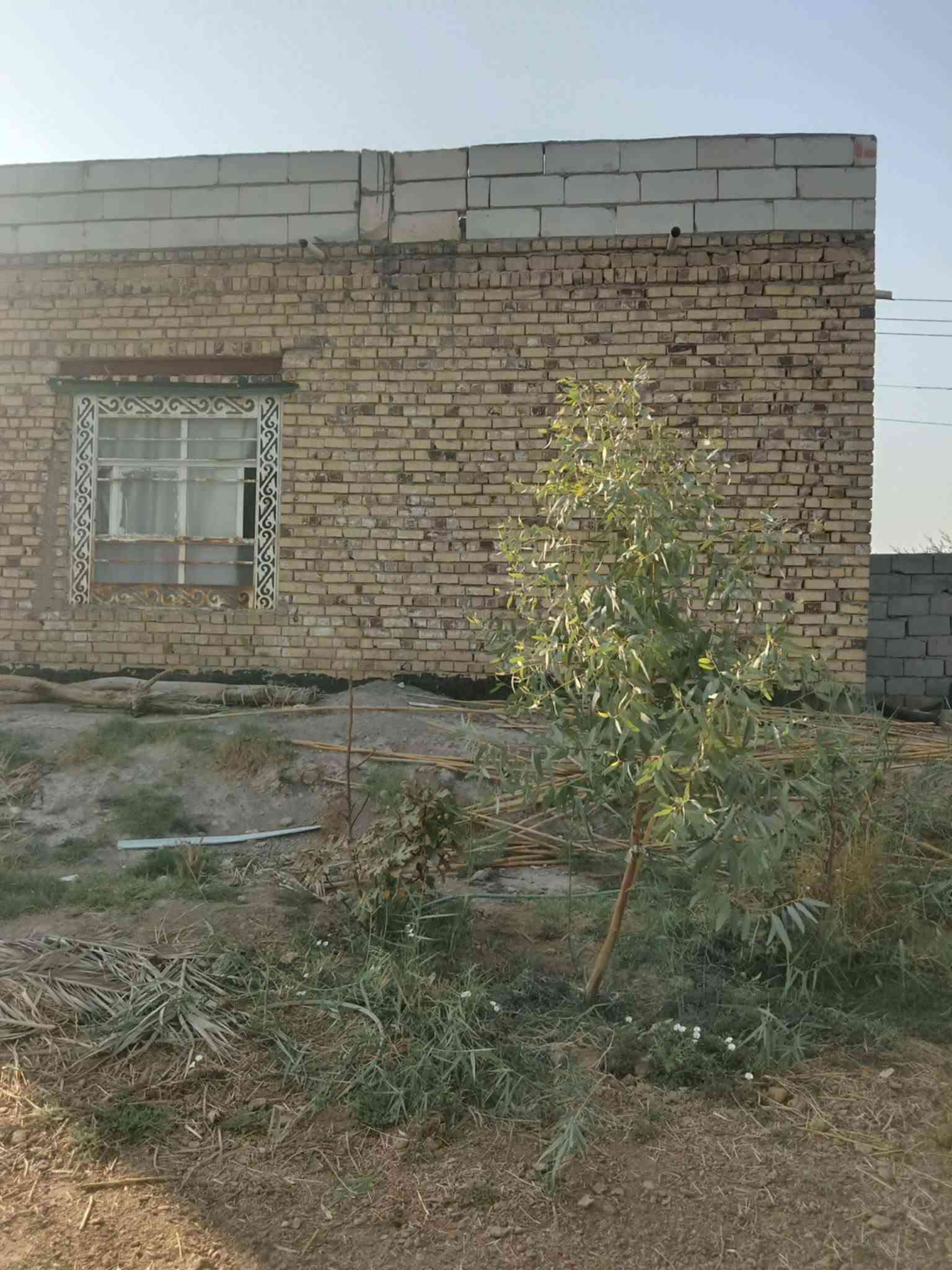 ٢دونم • على الشط • السنيه البو نائل