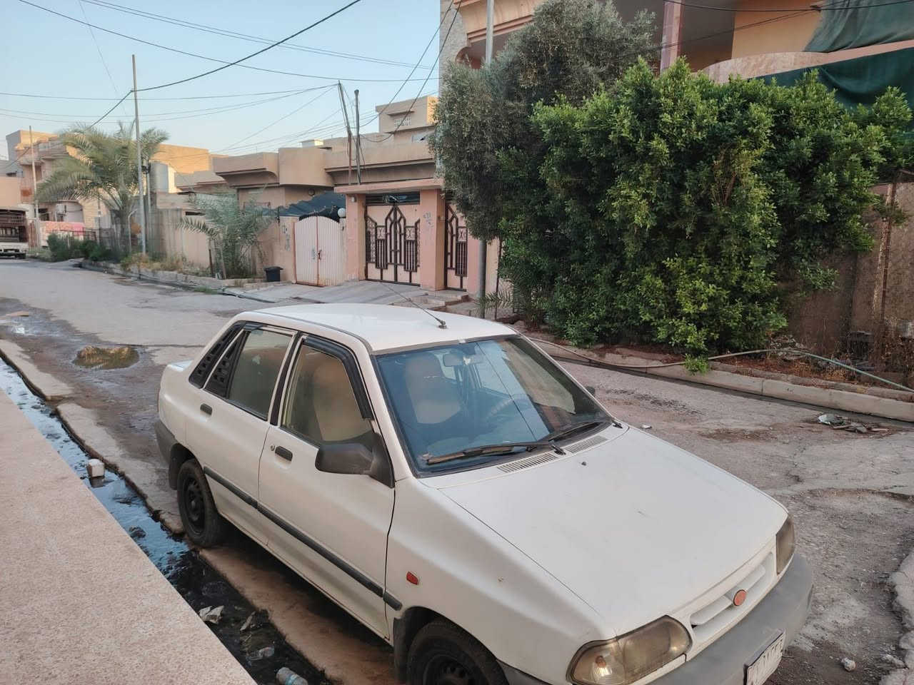 سايبا • ٢٠١٢ • بدون ضرار